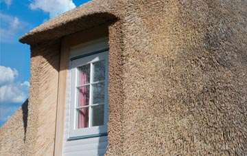 Scofton thatch roof disadvantages